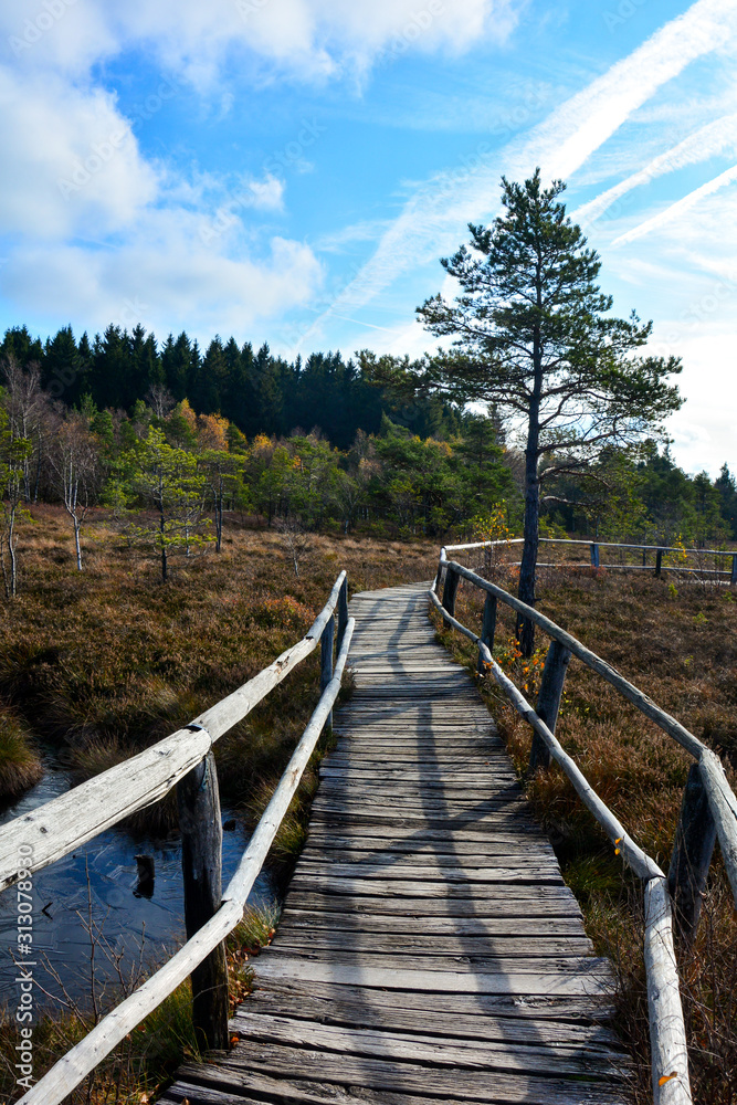 Fototapeta premium Wood path through the black moor with eys in the Rhön, Bavaria, Germany