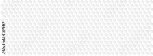 Hexagons / honeycomb	