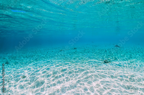 Tropical ocean with sandy bottom underwater in Bahamas