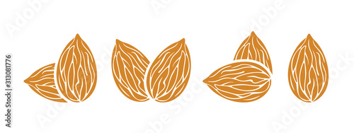Almond logo. Isolated almond on white background