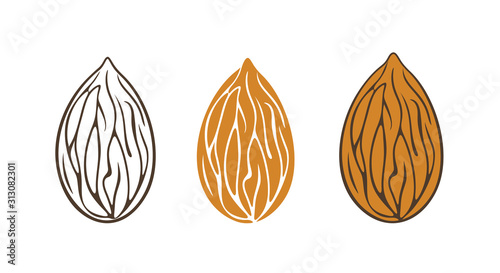 Almond logo. Isolated almond on white background