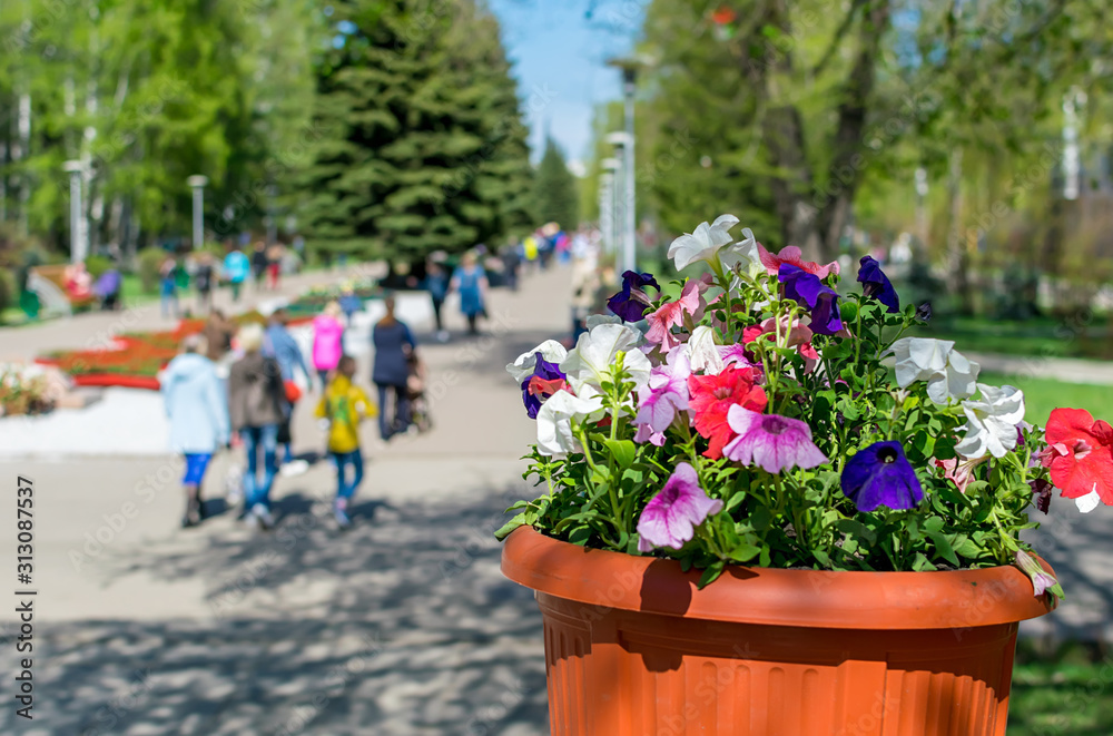 Fototapeta premium closeup, street pot with flowers on the background of people passing by in a cultural urban green Park for walking and recreation