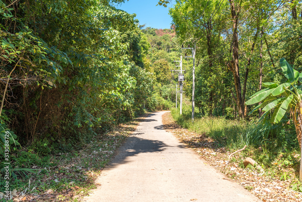 Fototapeta premium Small narrow roads lead through the forests of the small island of Ko Phayam. There is no car traffic so that all goods are transported by scooter