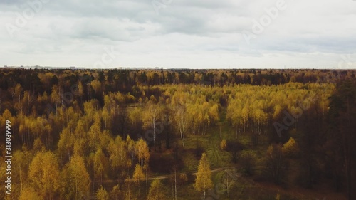 autumn landscape with river and trees