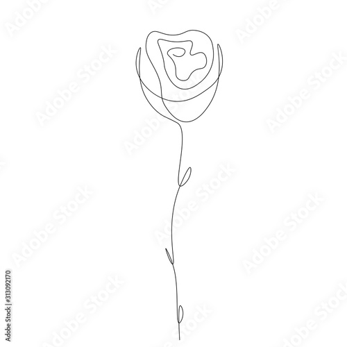 Rose flower one line drawing, vector illustration