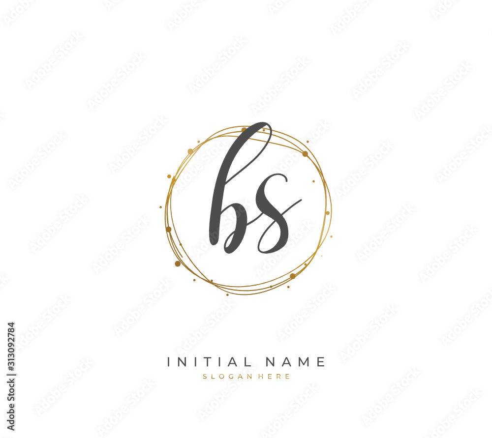 Handwritten letter B S BS for identity and logo. Vector logo template with handwriting and signature style.