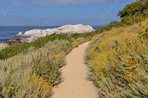 Bird Island Trail passing Pelican Point at Point Lobos State Natural Reserve (Carmel-By-The-Sea, California, USA)