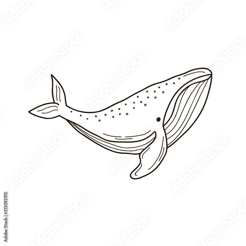 Whale. Vector linear drawing of a whale. Children's illustration