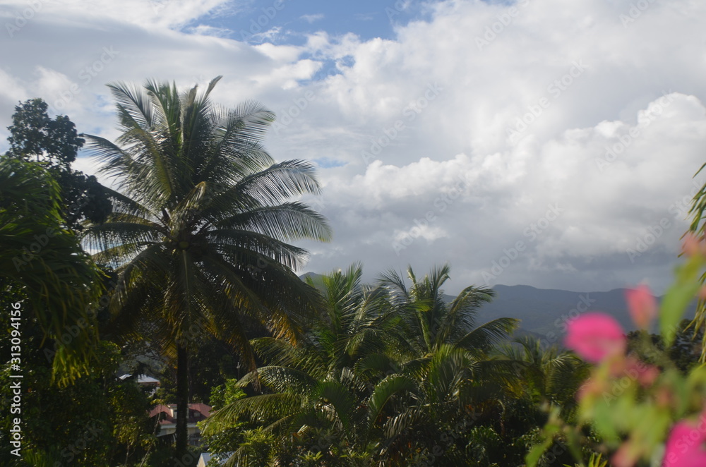 Ciel Tropical Guadeloupe - West Indies Sky Guadeloupe Ciel Tropical Guadeloupe - West Indies Sky Guadeloupe