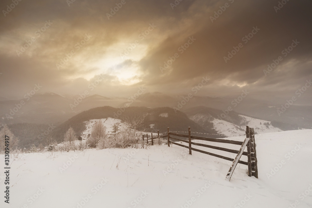 Trees in the mountains. Winter mountains Trees in the mountains. Winter mountains