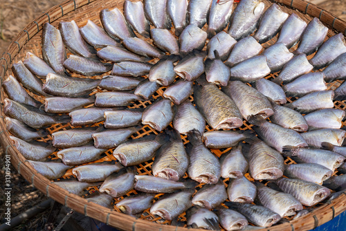 Fresh Fish being cured and sun dried. 