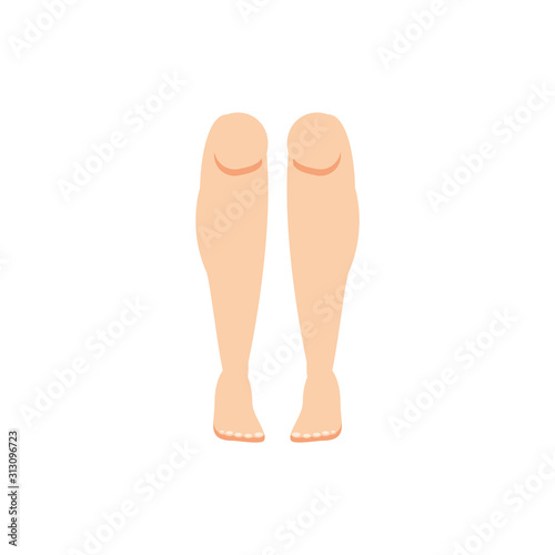 Isolated legs icon vector design