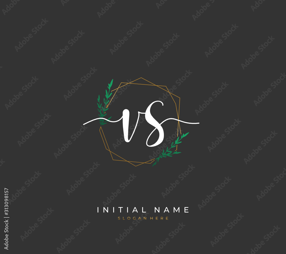Handwritten letter V S VS for identity and logo. Vector logo template with handwriting and signature style. Handwritten letter V S VS for identity and logo. Vector logo template with handwriting and signature style.