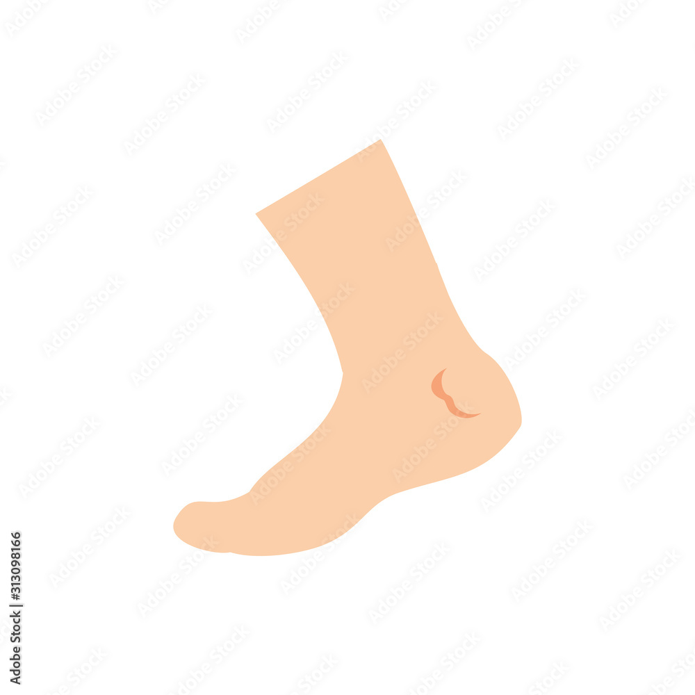 Isolated feet icon vector design Isolated feet icon vector design