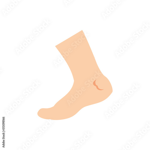 Isolated feet icon vector design
