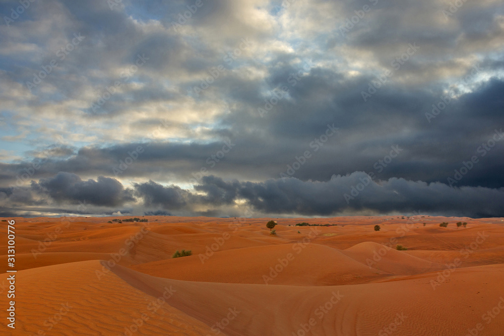 Natural landscape, desert evening cloudy sky view, United Arab Emirates, Dubai