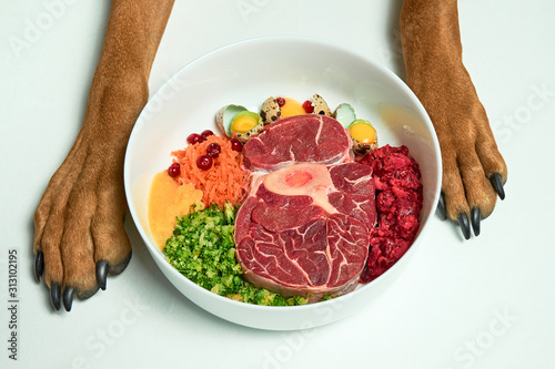 Natural Raw organic dog food in bowl and dog's paws on white background. BARF dog diet. Raw meat, eggs, vegetables.
