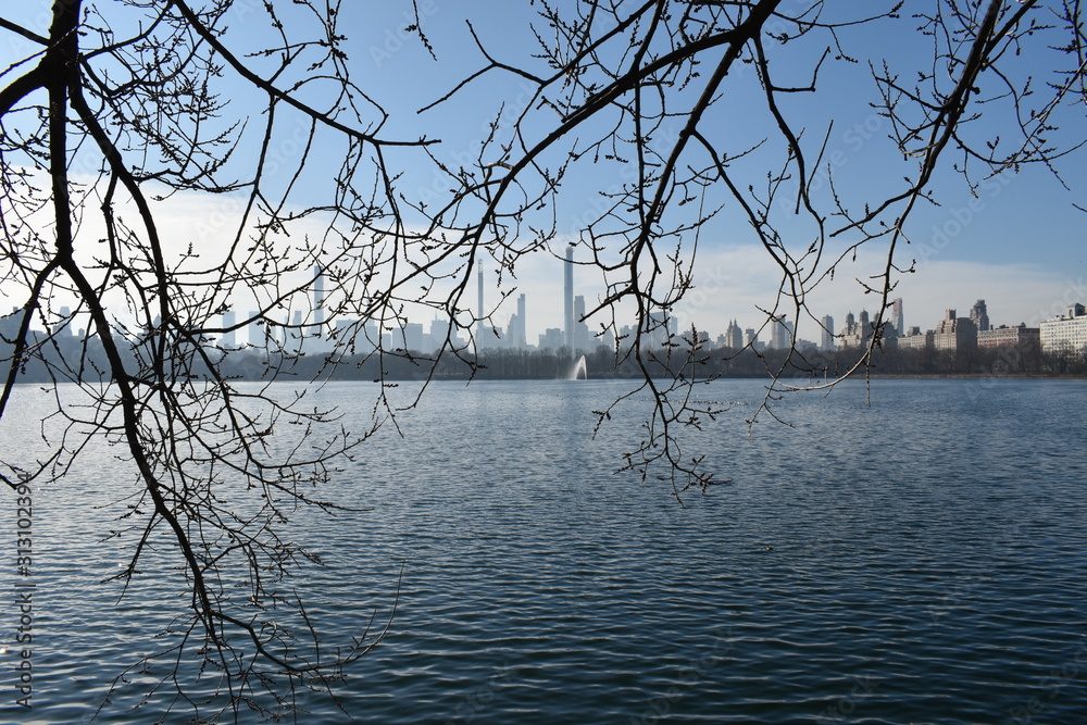 New york skyline from central park New york skyline from central park