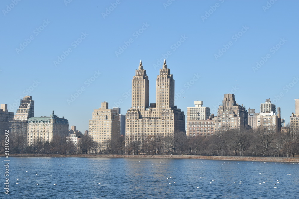 New York skyline from park