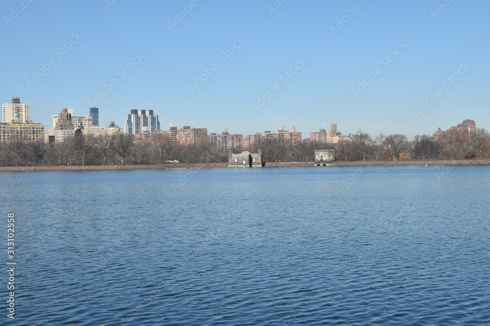 Fototapeta premium New York skyline from park