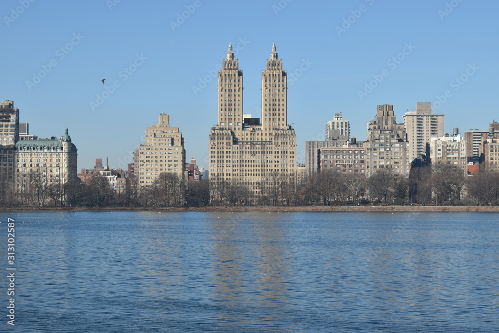 New York skyline from park