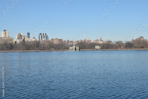 New York skyline from park © Majed