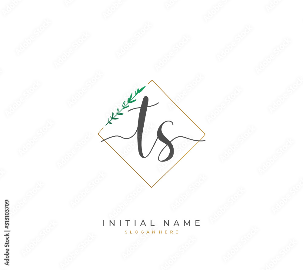 Handwritten letter T S TS for identity and logo. Vector logo template with handwriting and signature style. Handwritten letter T S TS for identity and logo. Vector logo template with handwriting and signature style.