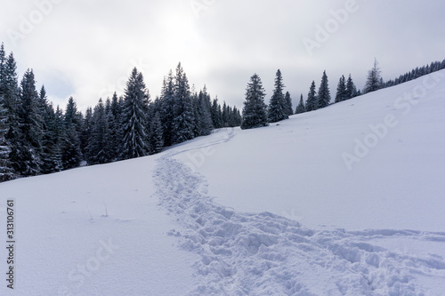 Winter trail in snow. Rusinowa Glade. Tatra Mountains. © Jacek Jacobi