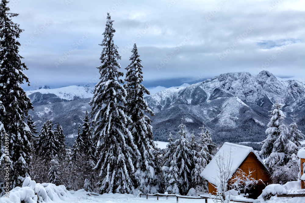 Tatra mountains winter landscape with trees and snow Tatra mountains winter landscape with trees and snow