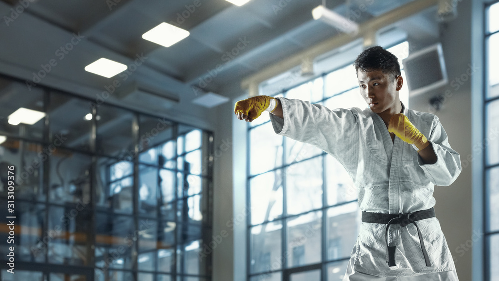 Confident korean man in kimono practicing hand-to-hand combat, martial arts. Young male fighter with black belt training in gym, looks concentrated, confident. Concept of healthy lifestyle, sport. Confident korean man in kimono practicing hand-to-hand combat, martial arts. Young male fighter with black belt training in gym, looks concentrated, confident. Concept of healthy lifestyle, sport.