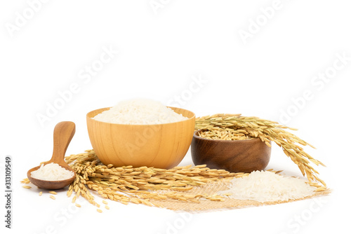 Fototapeta Isolated of White rice and paddy rice in wooden bowl and brown wooden spoon and