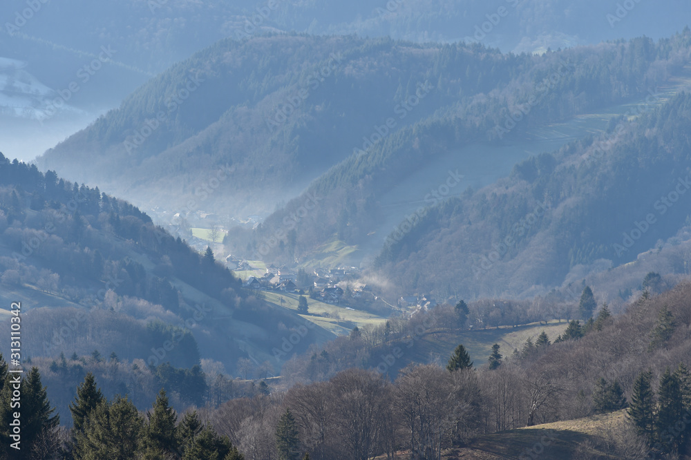 Tal im Schwarzwald, in der Nähe von Freiburg Tal im Schwarzwald, in der Nähe von Freiburg