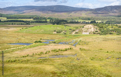 RSPB Insh Marshes, Highlands, Scotland