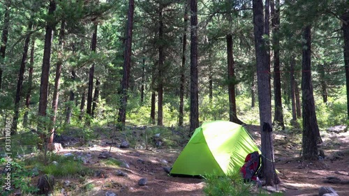 Camping in the woods, green tent in the bright sun in a dense pine forest on a hike. Backpack and poles by the tent. Concept for tourist equipment manufacturers. 4k footage.