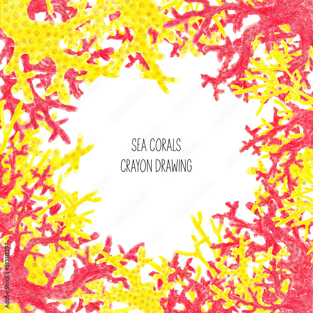 Obraz premium Hand drawn pencil frame of colorful corals. Scandinavian sea, ocean. Layout for invitations, business cards, poster.