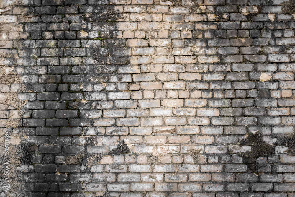 Obraz premium Old brick wall background. Grunge texture.