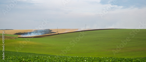 agricultural field set on fire
