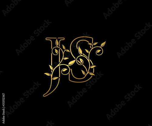 Golden J, S and JS Letter Classy Floral Logo Icon,  Elegant Design.