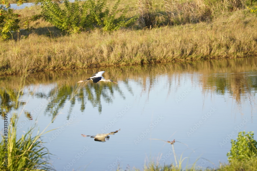 A peaceful walk into our local nature preserve A peaceful walk into our local nature preserve