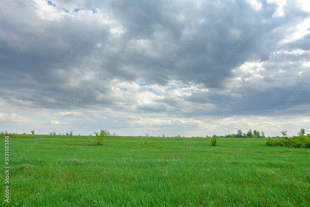 Fototapeta premium Sky with rain clouds over green meadow