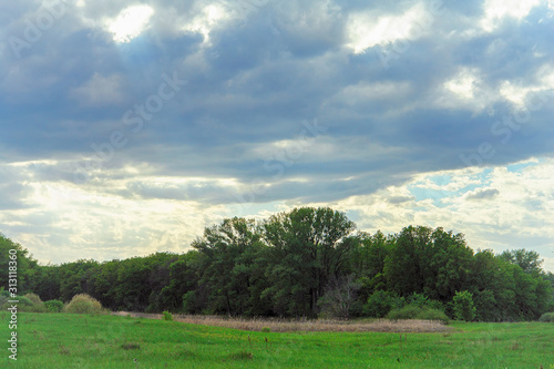 Sky with rain clouds over green meadow and forest