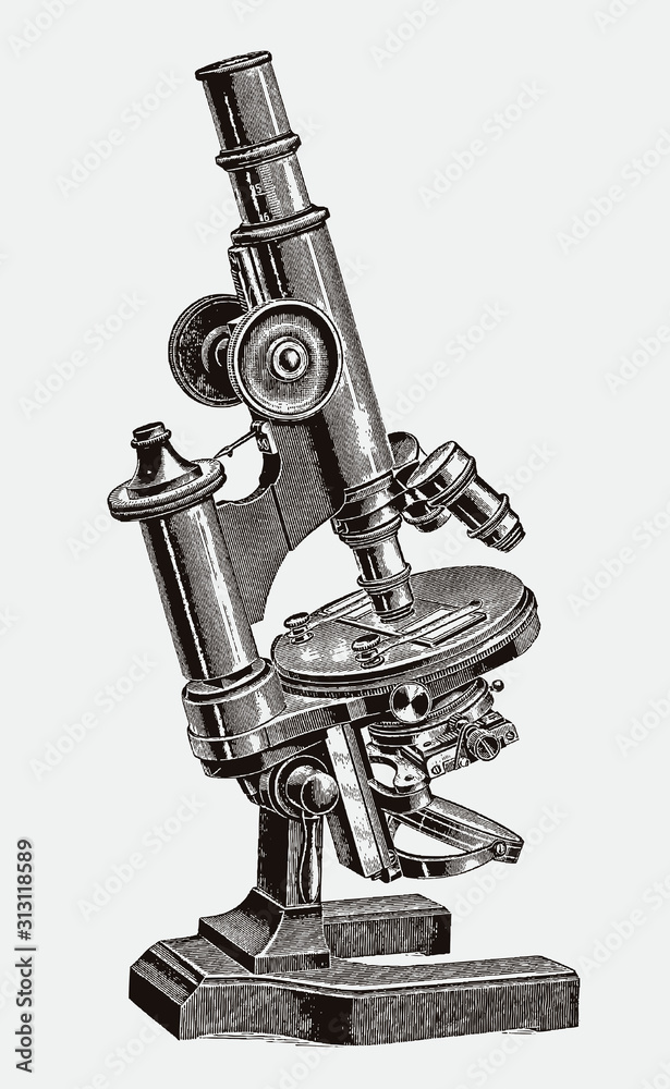 Large inclinable optical microscope with horseshoe foot. Illustration after a historical engraving from the 19th century Stock Vector | Adobe Stock Large inclinable optical microscope with horseshoe foot. Illustration after a historical engraving from the 19th century Stock Vector | Adobe Stock