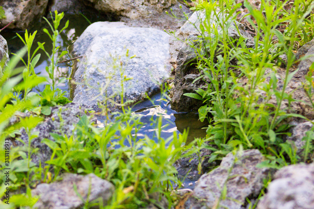 Cascadas pequeñas Cascadas pequeñas