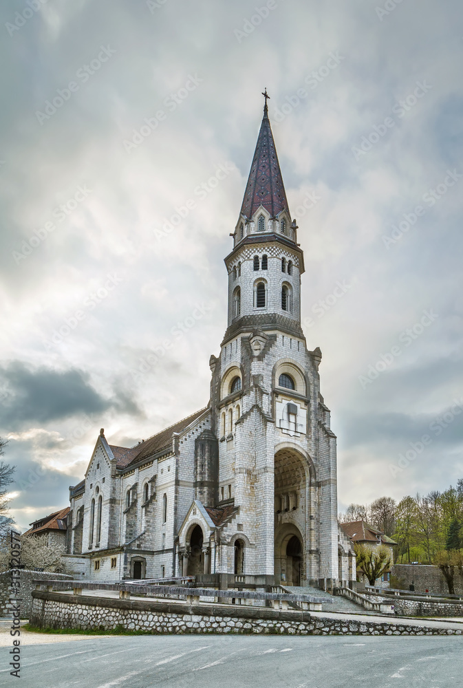 Basilica of the visitation, Annecy, France