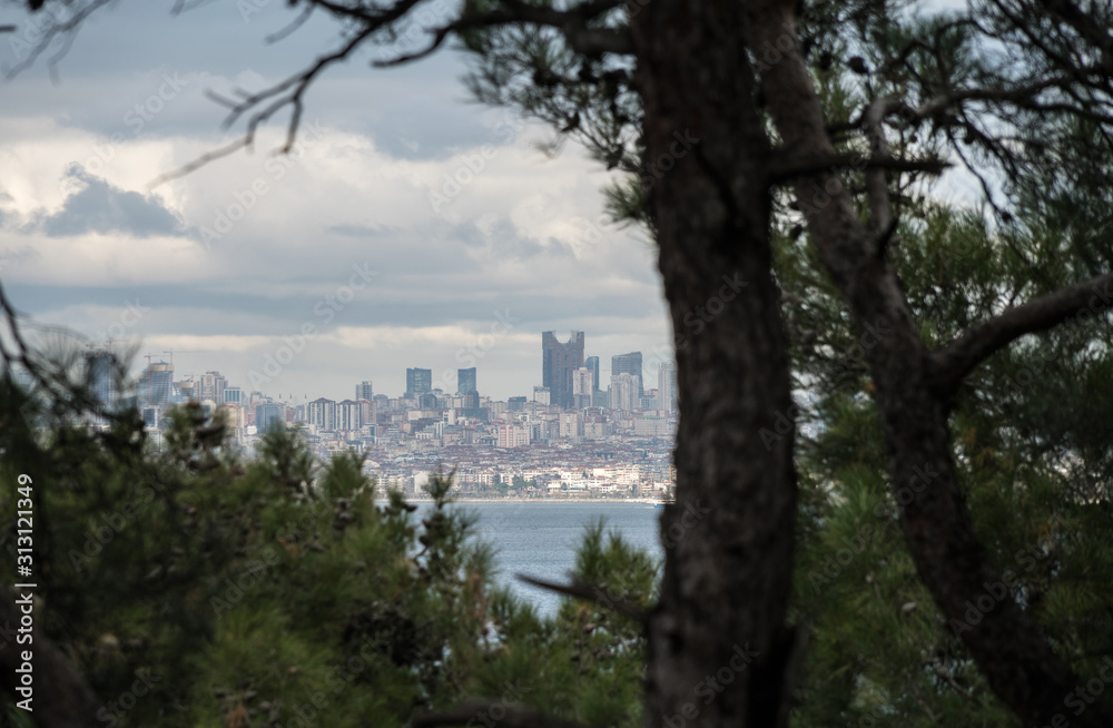 Istanbul from the island