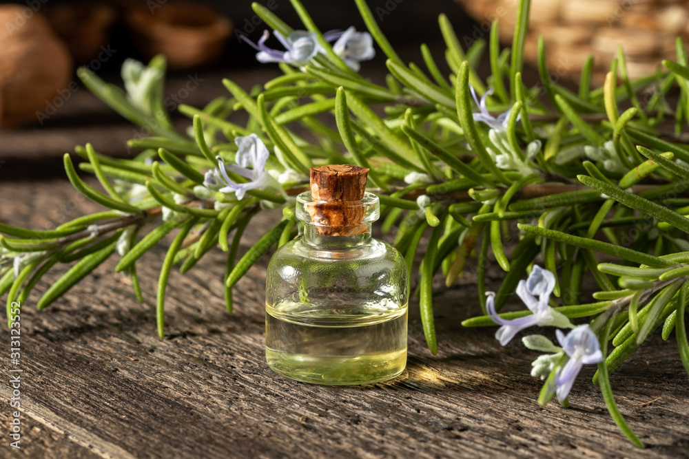 A bottle of rosemary essential oil with fresh rosemary A bottle of rosemary essential oil with fresh rosemary