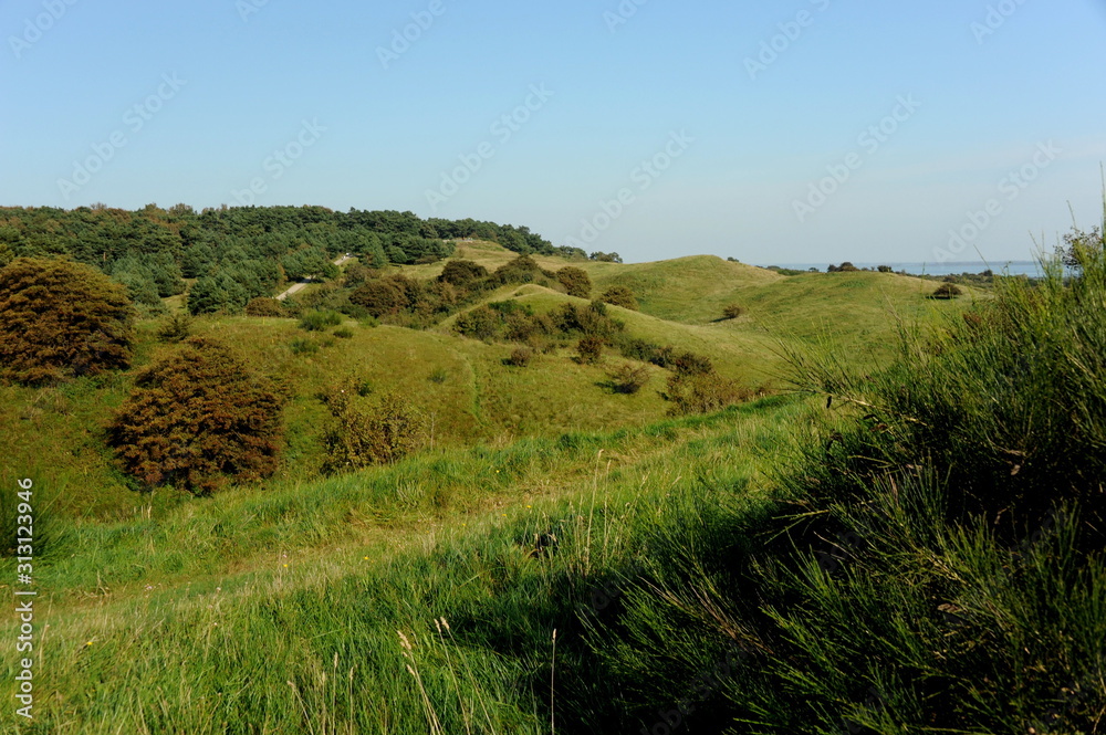 Obraz premium Insel Hiddensee, Blick vom Dornbusch