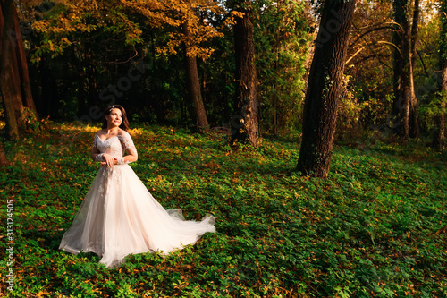 beautiful bride in a chic dress in the autumn park