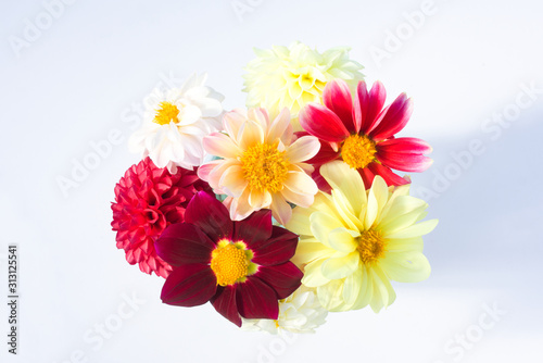 Bouquet of multi-colored dahlia flowers. Blooming summer season © Elena Abduramanova