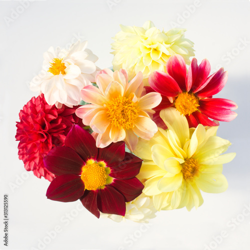 Bouquet of multi-colored dahlia flowers. Blooming summer season